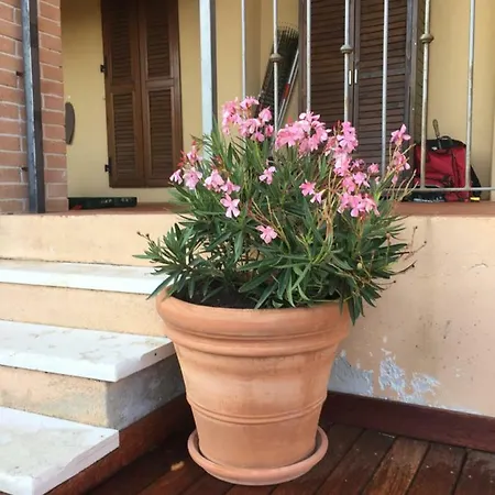 Apartament Casa Del Togo Castagneto Carducci