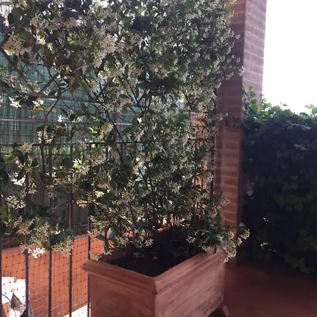 Casa Del Togo * Castagneto Carducci